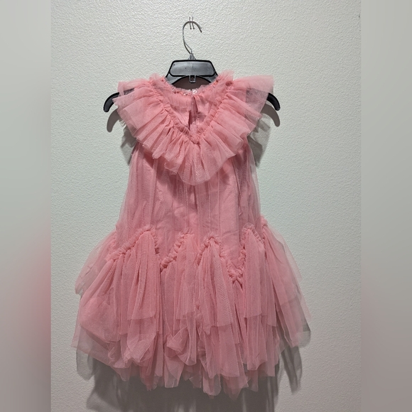 Tutu Du Monde Lacquer Tulle Dress - Picture 5 of 9